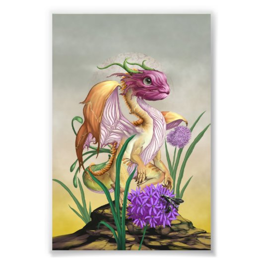 Onion Dragon 4x6 Print Fotodruck (Vorne)