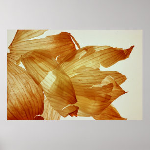 Onion Skin Poster