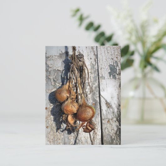 ONIONEN POSTKARTE (Stehend Vorderseite)