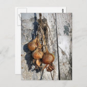 ONIONEN POSTKARTE (Vorne/Hinten)