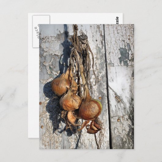 ONIONEN POSTKARTE (Vorne/Hinten)