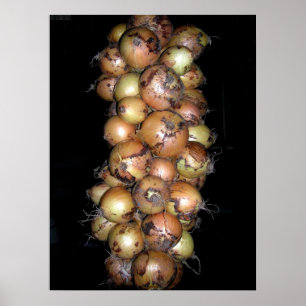 Onions Poster