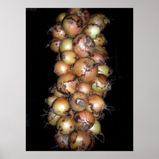 Onions Poster (Vorne)