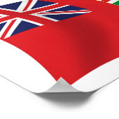 OnlineFlag-Poster drucken Poster (Ecke)