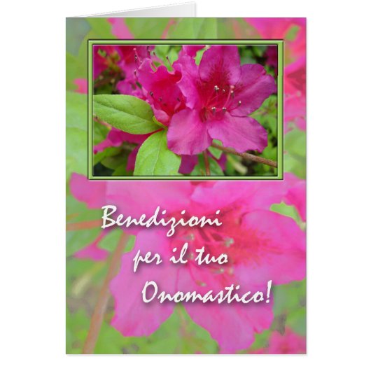 Onomastico, Name Day in Italian, Azaleas (Vorne)
