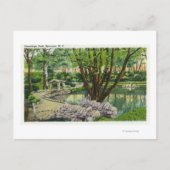 Onondaga Park Scene Postkarte (Vorderseite)