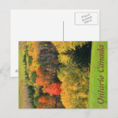 Ontario Canada Postcard Postkarte (Vorne/Hinten)
