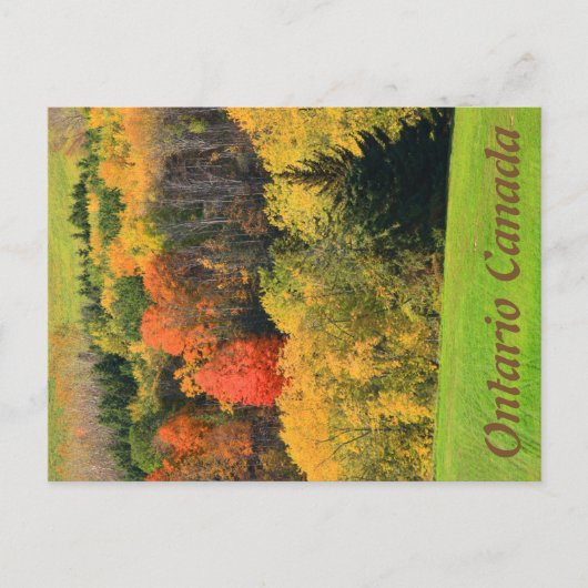 Ontario Canada Postcard Postkarte (Vorderseite)