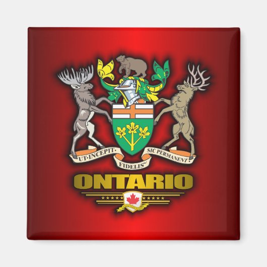 Ontario COA Magnet (Vorne)