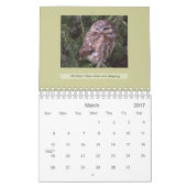 Ontario für Vogel und Schönen Fotos Kalender (Mär 2017)