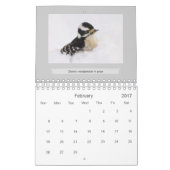 Ontario für Vogel und Schönen Fotos Kalender (Feb 2017)