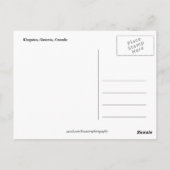 Ontario, Kingston Street in Night Postkarte (Rückseite)