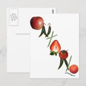 Ontario Obst und Gemüse Postkarte (Vorne/Hinten)