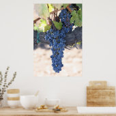 OnTheVine Poster (Küche)