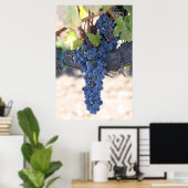 OnTheVine Poster (Heimbüro)