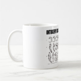 Ontogenie rekapituliert Phylogenese (Biologie) Kaffeetasse
