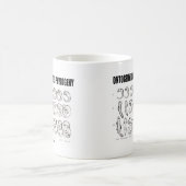 Ontogenie rekapituliert Phylogenese (Biologie) Kaffeetasse (Mittel)