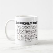 Ontogenie rekapituliert Phylogenese (Biologie) Kaffeetasse (Links)