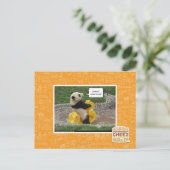 Onwurd, nobul Steed! Postkarte (Stehend Vorderseite)