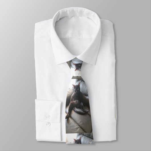 Onyx, die Krawatte der Katze (Gebunden)