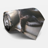 Onyx, die Krawatte der Katze (Gerollt)