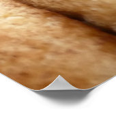 Oodles von Snickerdoodles Poster (Ecke)