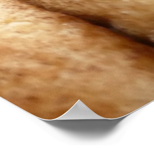 Oodles von Snickerdoodles Poster (Ecke)