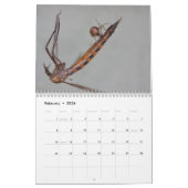 Ooh, eine Spinne! Kalender (Feb 2026)