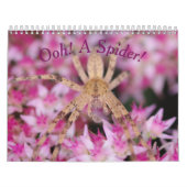 Ooh, eine Spinne! Kalender (Titelbild)
