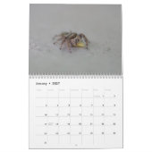 Ooh, eine Spinne! Kalender (Jan 2027)