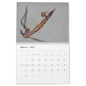 Ooh, eine Spinne! Kalender (Feb 2027)