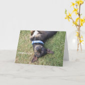 Ooh-la-la-Chihuahua Birthday Card Karte (Gelbe Blume)