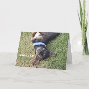Ooh-la-la-Chihuahua Birthday Card Karte