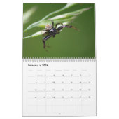 Ooh, Spinnen! Kalender (Feb 2026)
