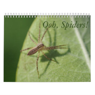 Ooh, Spinnen! Kalender