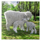 "Oona & Ihre Twins" Fliese (Vorderseite)