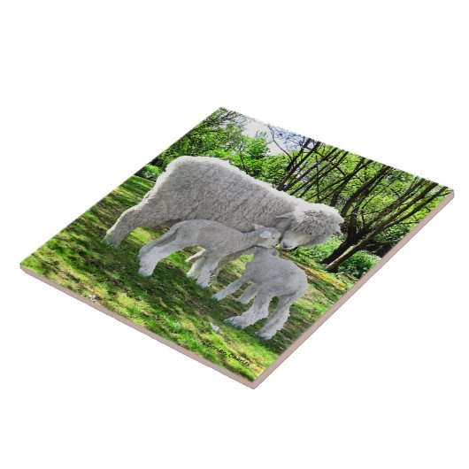 "Oona & Ihre Twins" Fliese (Seite)