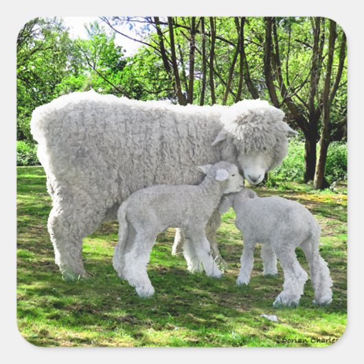 "Oona & Ihre Twins" Quadratischer Aufkleber (Vorderseite)