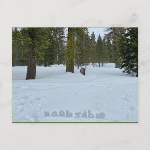 Oooh Tahoe Forest Postkarte