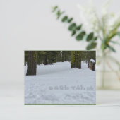 Oooh Tahoe Postkarte (Stehend Vorderseite)