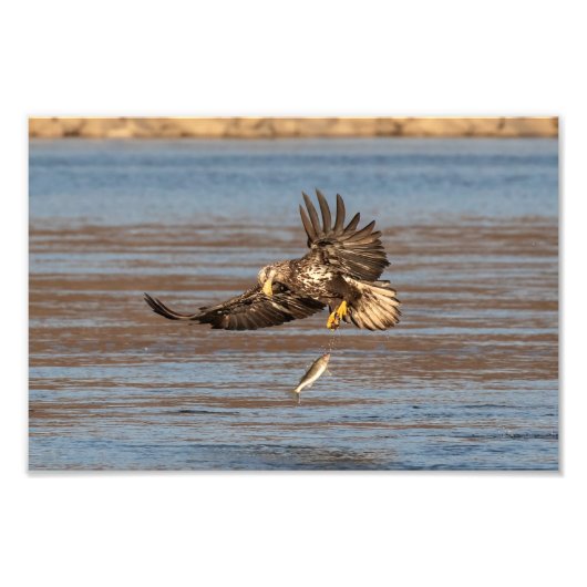 Oops, hab's fallen lassen. fotodruck (Vorne)