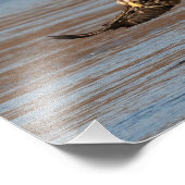 Oops, hab's fallen lassen. fotodruck (Ecke)