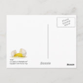 oops Postkarte (Rückseite)