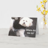 OOPS, VERGESSEN IHREN GEBURTSTAG KARTE (Gelbe Blume)