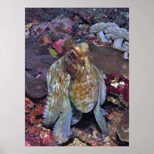Oozing Octopus Portrait Poster (Vorne)