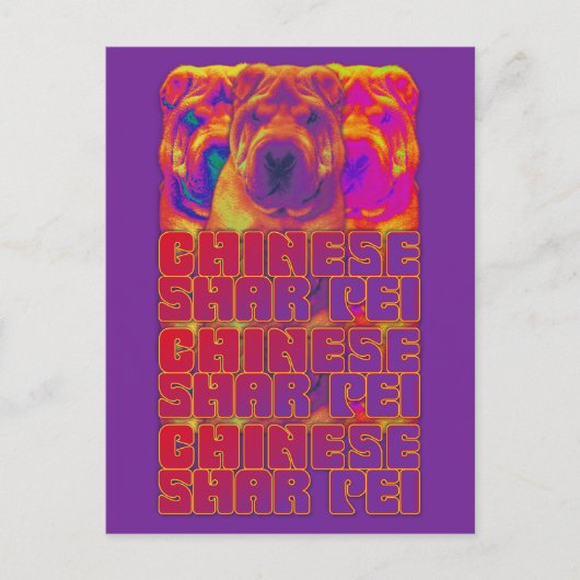 Op Art - Chinese Shar Pei Postkarte (Vorderseite)