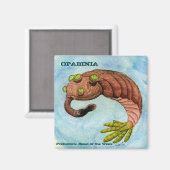Opabinia Magnet (Vorderseite/Rückseite)
