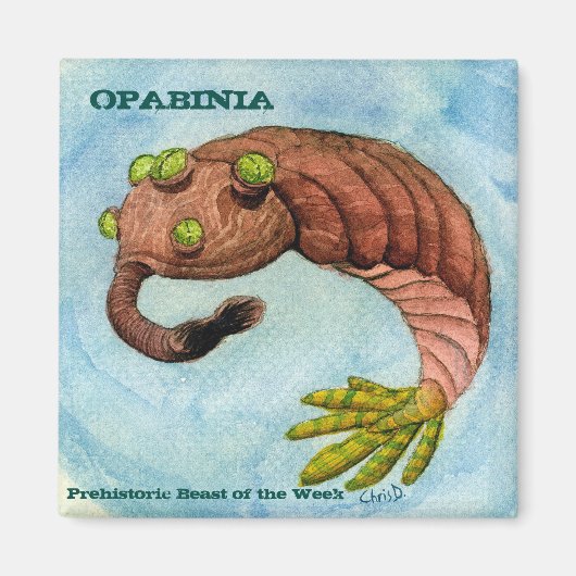 Opabinia Magnet (Vorne)