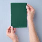 Opal Green Solid Color Flyer (Handgriff)