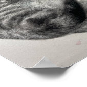 Opal (Katze) - Druck Poster (Ecke)